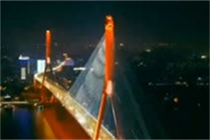 **International Tea Conference and Exchange at Shanghai Tea House** **International Tea Conference and Exchange at Shanghai Tea House**