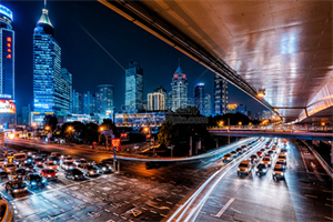 Ideal Partners and Life Goals： Shanghai's Values