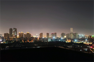 The Statistical Analysis of Dengue Fever Cases in Shanghai